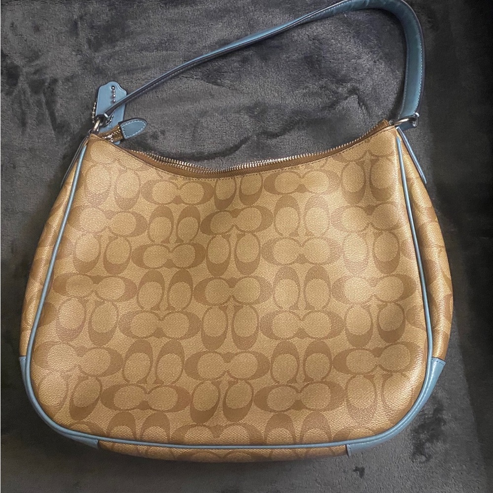 Coach Tan and Sage Green Signature Bag